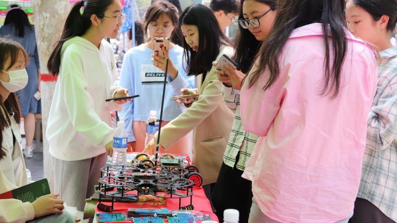 软件测试流程：确保软件质量的关键步骤