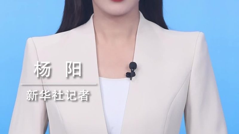 智能客服知识库：高效使用指南**